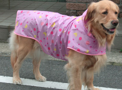 【犬服】レインコート型紙（大型犬用）