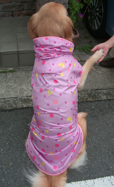 【犬服】レインコート型紙（大型犬用）