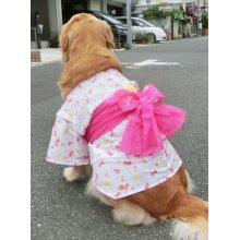 他の写真1: 【犬服】浴衣型紙（大型犬用）