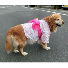 他の写真3: 【犬服】浴衣型紙（大型犬用）