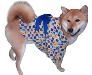 画像3: 犬服　浴衣型紙（中型犬用）