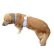 画像4: 【犬用】クールエプロン型紙・大型犬用（L） (4)