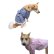 画像5: 犬服　チュニックワンピース型紙（小型犬から中型犬用） (5)