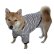 画像4: 犬服　Tシャツ型紙　小型犬〜中型犬用 (4)