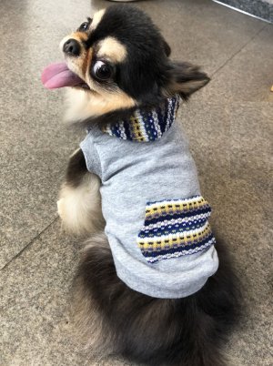 画像3: 犬服　パーカー型紙　小型犬〜中型犬用