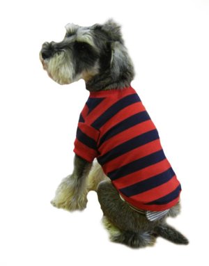 画像1: 犬服　Tシャツ型紙　小型犬〜中型犬用