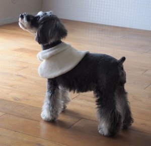 画像2: 犬服　ケープ型紙　小型犬〜中型犬用