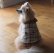 画像2: 犬服　おでかけコート型紙　小型犬〜中型犬用 (2)