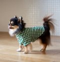 犬服　ボタンダウンシャツ型紙　小型犬〜中型犬用
