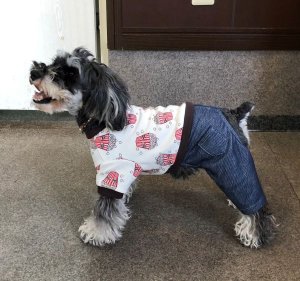 画像2: 犬服　カバーオール型紙　小型犬〜中型犬用