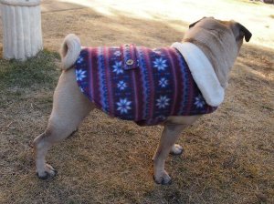 画像4: 犬服 おでかけコート型紙 小型犬〜中型犬用