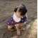 画像3: 犬服　おでかけコート型紙　小型犬〜中型犬用 (3)