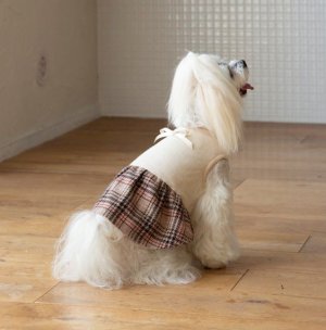 画像2: 犬服　ギャザーワンピース型紙　小型犬〜中型犬用