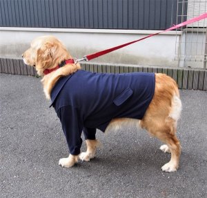 画像3: 犬服　ピーコート型紙　大型犬用