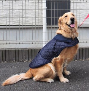 画像3: 犬服　キルティングコート型紙　大型犬用