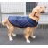 画像1: 犬服　キルティングコート型紙　大型犬用 (1)