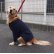 画像1: 犬服　ピーコート型紙　大型犬用 (1)