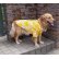 画像2: 犬服　アロハシャツ型紙　大型犬用 (2)