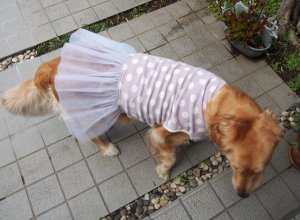 画像2: 犬服　チュールワンピース型紙　大型犬用