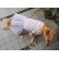 画像2: 犬服　チュールワンピース型紙　大型犬用 (2)