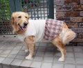 犬服　ギャザーワンピース型紙　大型犬用