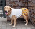 犬服　ティアードワンピース型紙　大型犬用