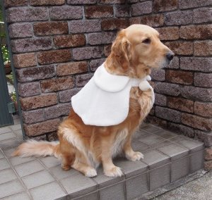 画像2: 犬服　ケープ型紙　大型犬