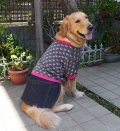 犬服　デニムスカート付きTシャツ型紙　大型犬用