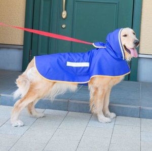 画像1: 犬服　レインコート型紙　大型犬用