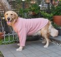 犬服　ハイネック長袖Tシャツ型紙　大型犬用