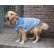 画像2: 犬服　セーラーカラータンクトップ型紙　大型犬用 (2)