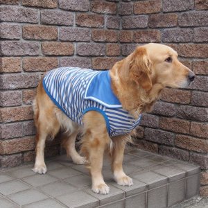 画像3: 犬服　セーラーカラータンクトップ型紙　大型犬用