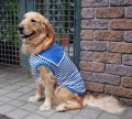 犬服　セーラーカラータンクトップ型紙　大型犬用