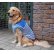 画像1: 犬服　セーラーカラータンクトップ型紙　大型犬用 (1)
