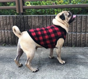 画像2: 犬服　前あきタンクトップ型紙　小型犬〜中型犬用