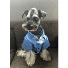 他の写真1: 犬服　アロハシャツ型紙　小型犬〜中型犬用
