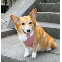 他の写真3: 犬用　クールエプロン型紙・中型犬用（M）