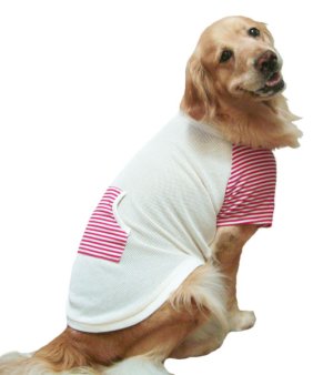 画像1: 【犬服】ラグランTシャツ型紙（大型犬用）