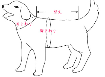 採寸方法