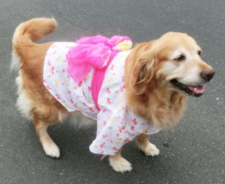 hananoko☆犬服　ハンドメイド 洋服の型紙屋さんフルール
