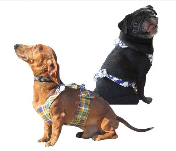 画像4: 犬用 クールエプロン型紙・小型犬用(XS、S) (4)