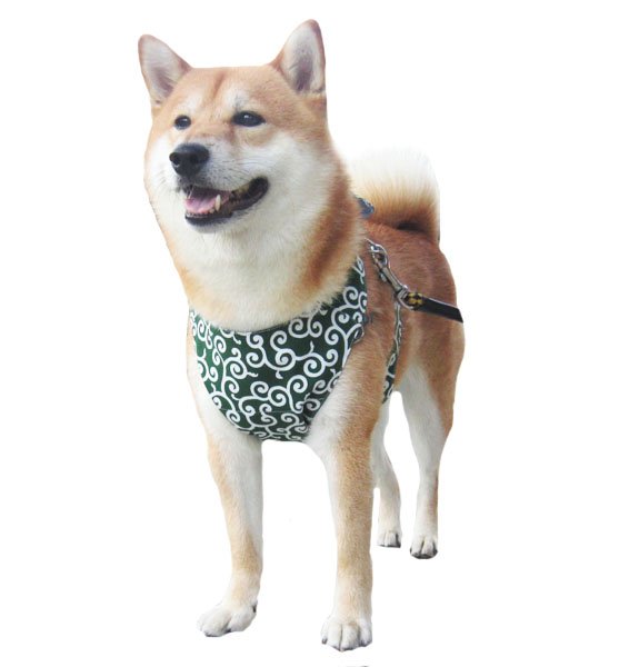 画像3: 犬用 クールエプロン型紙・中型犬用(M) (3)