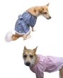 画像5: 犬服　チュニックワンピース型紙（小型犬から中型犬用） (5)