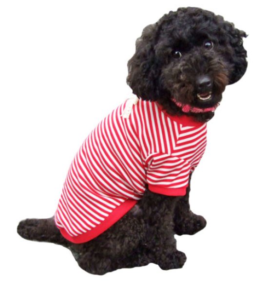 画像3: 犬服 Tシャツ型紙 小型犬〜中型犬用 (3)