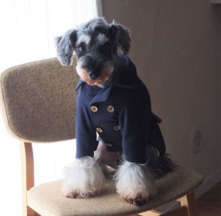 わんこ服　見本 Home sewing machine version] How to make a dog hoodie