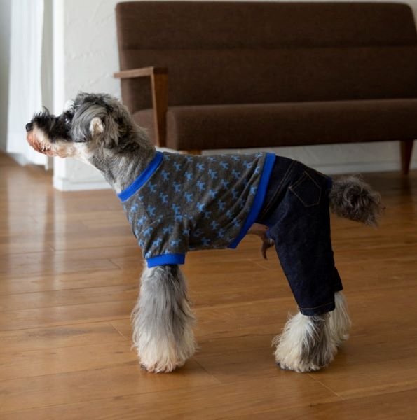 画像1: 犬服　カバーオール型紙　小型犬〜中型犬用 (1)