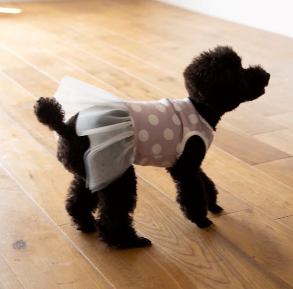 画像2: 犬服 チュールワンピース型紙 小型犬〜中型犬用 (2)