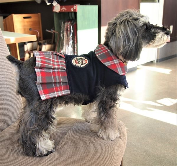 画像2: 犬服 プリーツワンピースコート型紙 小型犬〜中型犬用 (2)