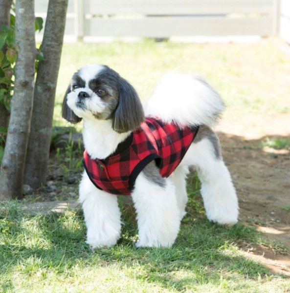 画像3: 犬服 前あきタンクトップ型紙 小型犬〜中型犬用 (3)