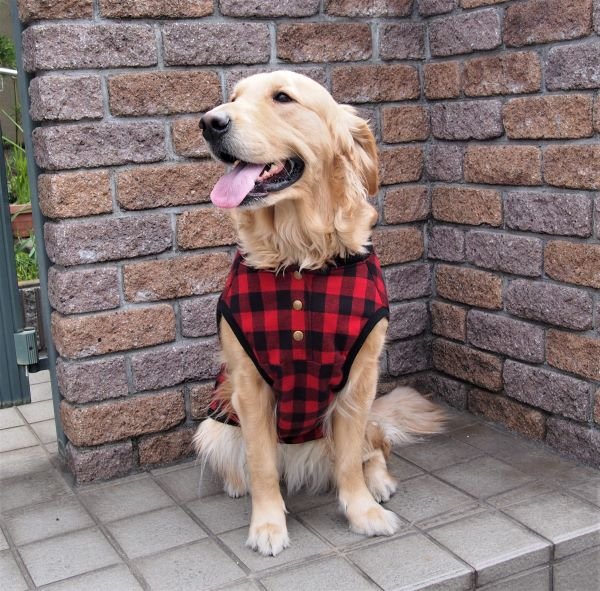 犬服 前あきタンクトップ型紙 大型犬用